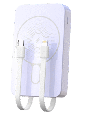 图片13 Pretium Viverra